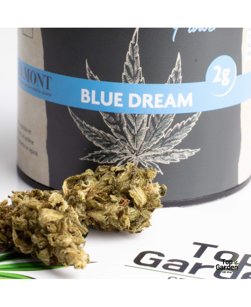 Blue Dream 2 g