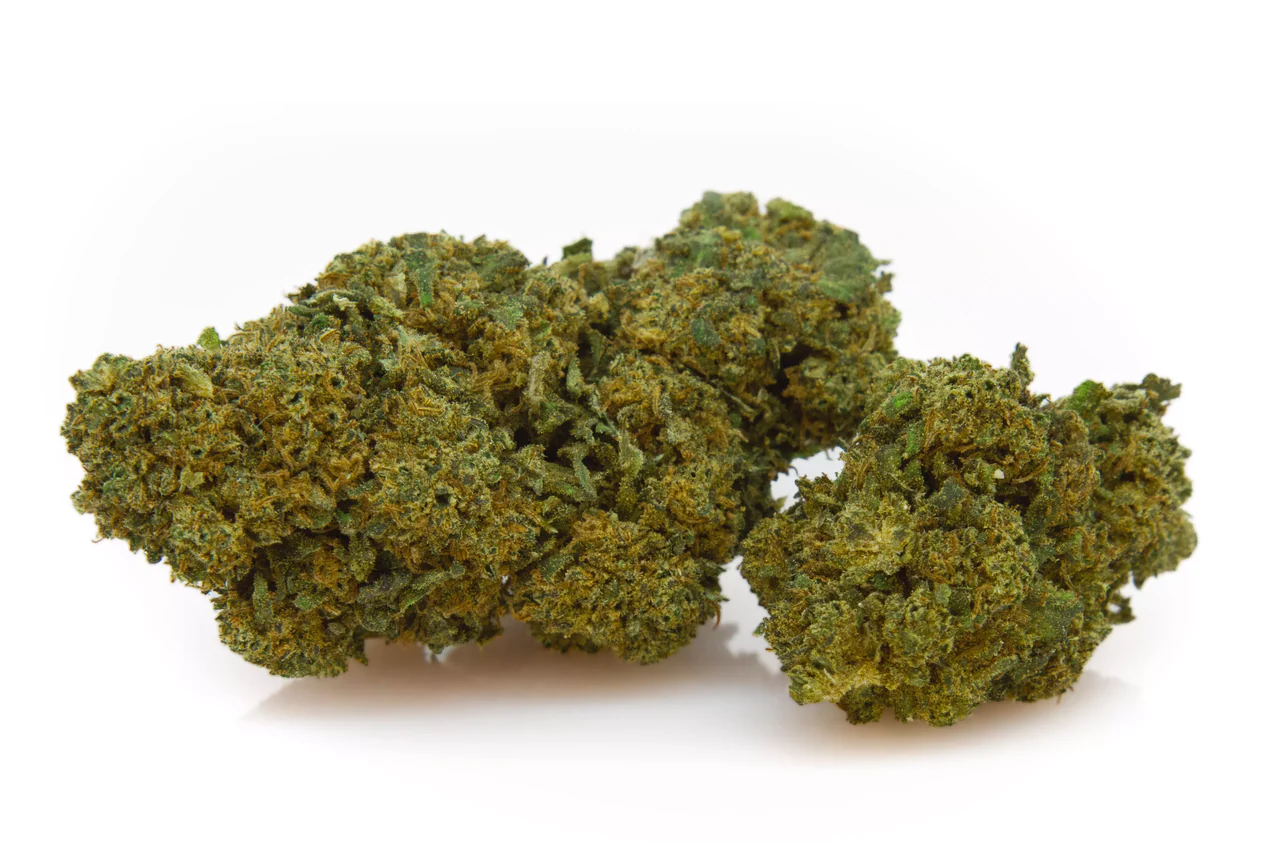 Mango Skunk