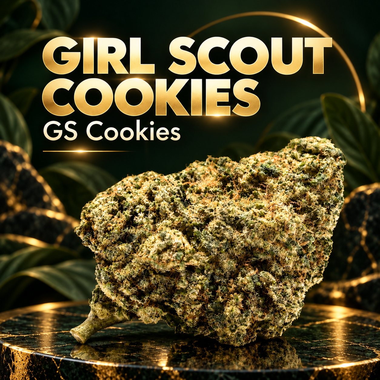 Girl Scout Cookies