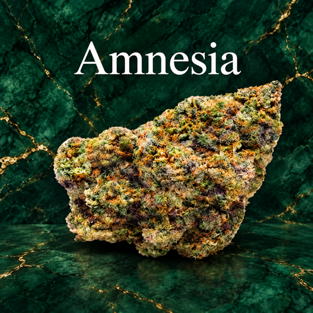 Amnesia
