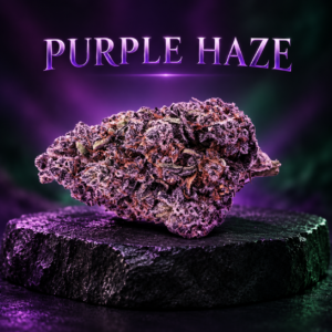 Purple Haze